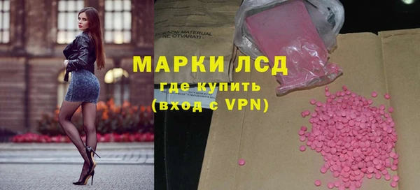 шишки Беломорск