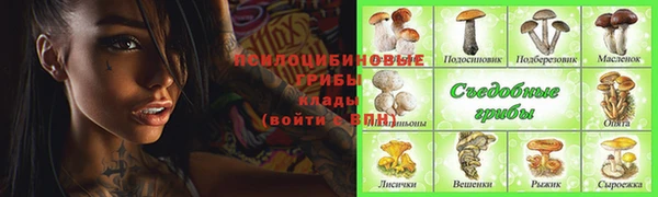 шишки Беломорск