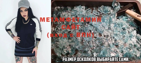 шишки Беломорск