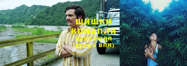 шишки Беломорск