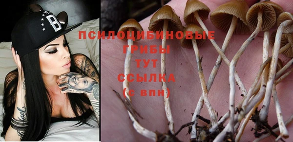 дистиллят марихуана Белокуриха