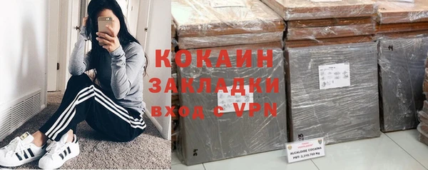 шишки Беломорск