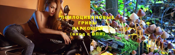 дистиллят марихуана Белокуриха