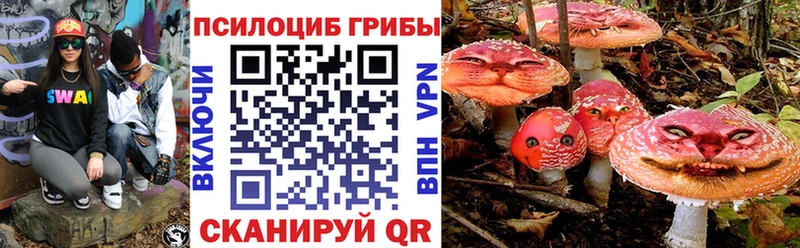 Галлюциногенные грибы прущие грибы  Вяземский 